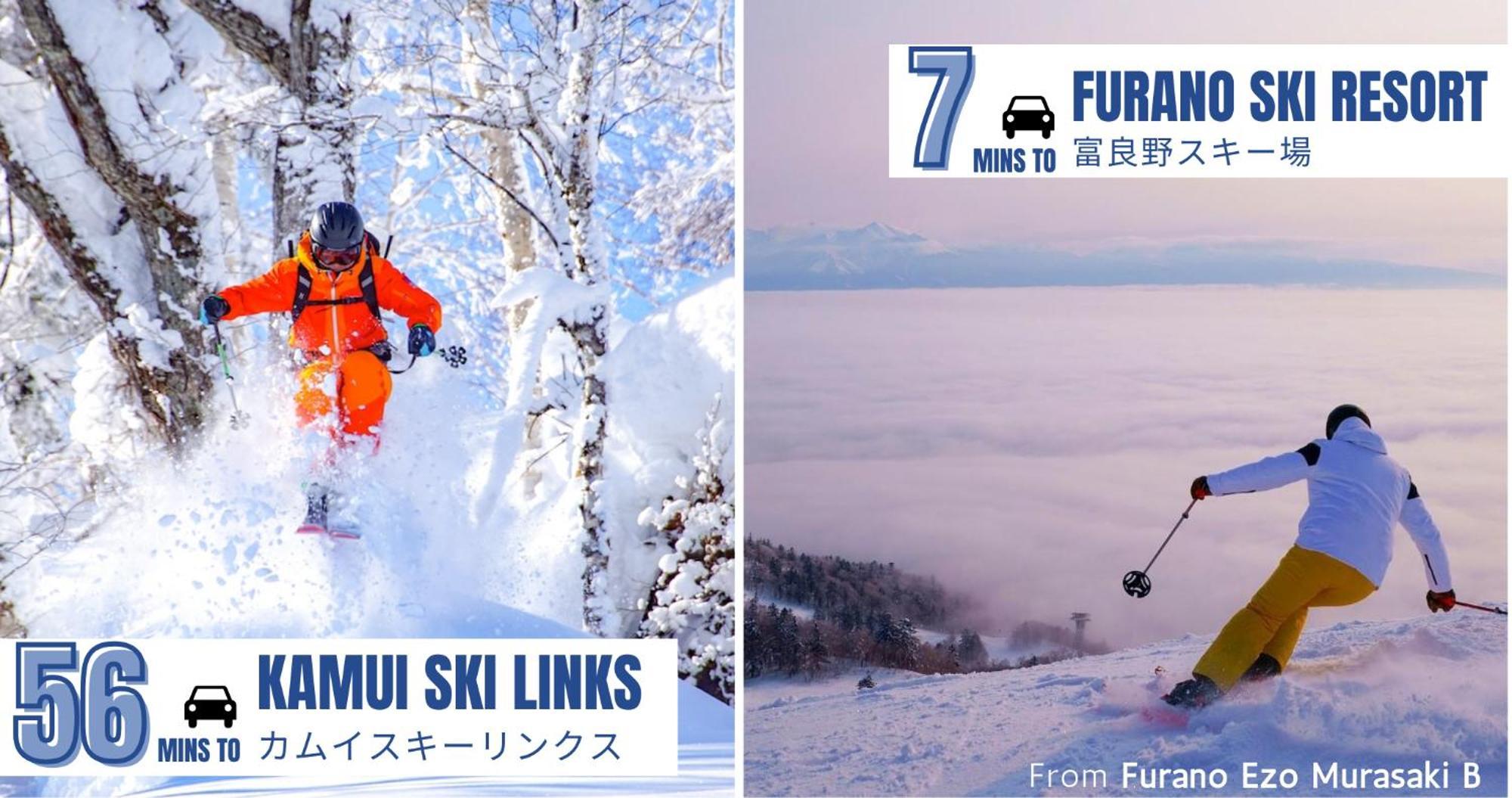 Furano Ezo Murasaki B 外观 照片